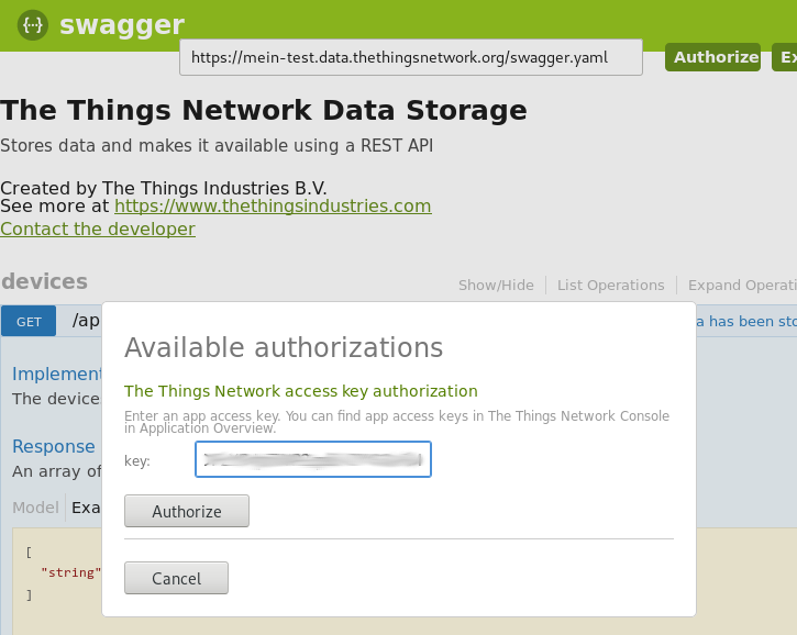Swagger - Authorize
